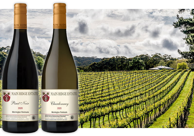 2020 Pinot Noir & 2020 Chardonnay New Releases