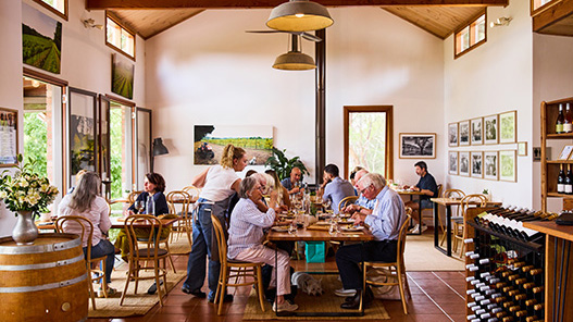 Main Ridge Estate | Mornington Peninsula Winery | Cellar Door | Lunch